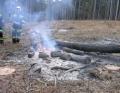 20070111_waldbrand_piesting_04