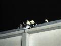 20070124_sturm-steinabr_03