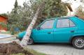 Foto FF Felixdorf 20070129_sturmfelixdorf_07