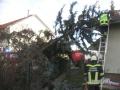 Foto: FF Wöllersdorf 20070129_te_woellersdorf_02