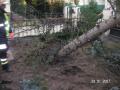Foto: FF Wöllersdorf 20070129_te_woellersdorf_03