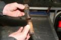 20070226_bombe_03