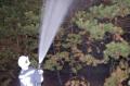 20070409_waldbrandsollenau_04