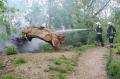 Foto FF Felixdorf 20070418_brandfelixdorf_02