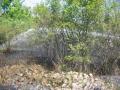 20070430_bandeinsatz_woellersdorf_02