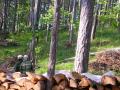 20070520_ueb-mp_03