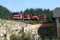 Foto: OFM Woldron Stephan 20070617_ffhaus_weih_rohr_10
