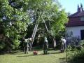 20070707_sturmeinsatz_fischau_1