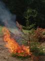 Foto: FF Schwarzenbach FF Schwarzenbach