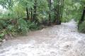 Foto: FF Felixdorf 20070907_hochwasser_felixdorf_aktuell_01