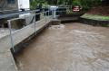Foto: FF Felixdorf 20070907_hochwasser_felixdorf_aktuell_03