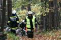Foto: Woldron Stephan 20071013_afkdo_g_01_6