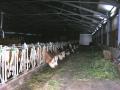 20071019_stollhof_01_3 20071019_stollhof_01_3
