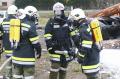 20071103_ffpernitz_02