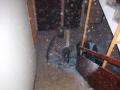 Foto: FF Wiener Neustadt 20071226_brand_in_einem_stiegenhaus_01