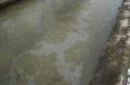 Foto: FF Sollenau 2007_02_26_3