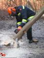 Foto: FF Hochwolkersdorf 08.11.15_kettensge08