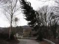 2007012_sturmeinsatz_krumbach_005