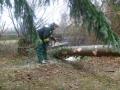 20080127_ffmuth_03