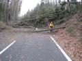 20080127_sturmschadenffwalpersbach_01