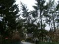 20080128_sturmeinsatz_fischau_4