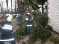 Foto: FF Steinabrückl 20080301_sturm-steinabrueckl_01