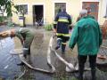 FF Matzendorf und andere FF Matzendorf und andere