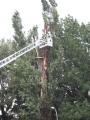 20080703_blitzschlag_01
