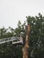 20080703_blitzschlag_03