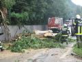 20080703_blitzschlag_05