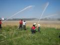 20080711_feriensp-stein_02