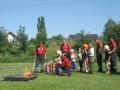 20080711_feriensp-stein_04