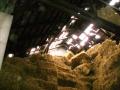 Foto: FF Haschendorf hpim0785