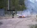 Foto P.Hirsch ASB ÖD 20060417_afkdogs_hfg3