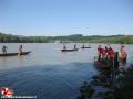 20090517_wd20sarling_03