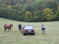20091009_pkw_bergung_dreistaetten_02