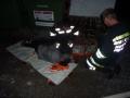 Foto: FF Weikersdorf 20091009_ueb_weikersd_01