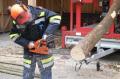 Foto: FF Waidmannsfeld-Miesenbach 20091114_motorsaegenausbildung_05