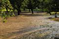 Foto: Norbert Stangl 20100614_unwetter_krumbacher_020
