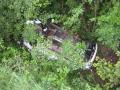 20100807_te-walp_01