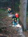 20101123_ausbildung_motorkettensaege__0005