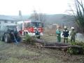 Foto: FF Oberpiesting 20110114_ffop_baum9