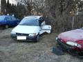 20110118_ffmuth_03