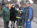 20110223_tierrettung_wr_neustadt_02