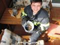 Foto: FF Wiener Neustadt 20110505_tierrettung_wr_neustadt_001