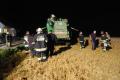 Foto: Einsatzdoku.at 20110803_maehdrescherbrand_haderswoerth_001