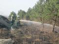 Foto: FF Wiener Neustadt 20120325_waldbrand_wrn_003