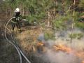 Foto: FF Wiener Neustadt 20120325_waldbrand_wrn_008