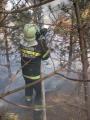Foto: FF Wiener Neustadt 20120325_waldbrand_wrn_010