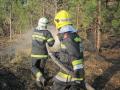 Foto: FF Wiener Neustadt 20120325_waldbrand_wrn_011